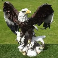 Gartenfigur Adler 60cm ca. 11kg Greifvogel 2315 Seeadler Weißkopfseeadler Direktkauf