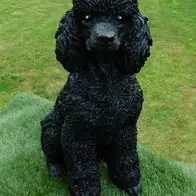Gartenfigur Hund Pudel schwarz 46cm 2895 Garten lebensecht Figur (Gr. Lebensgroß) Neuheit