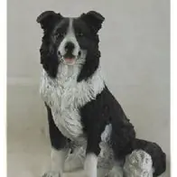 Billig Gartenfigur Border Collie 53cm sitzend 870 Hund Garten lebensecht Figur
