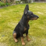 Kracherpreis Gartenfigur Hund Dobermann schwarz 60cm 3399 Garten lebensecht Figur (Gr. Mittel)